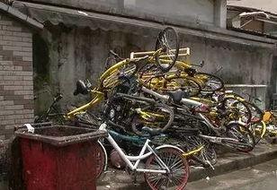 共享自行车爆料新闻报道,揭秘背后真相与困境  第3张