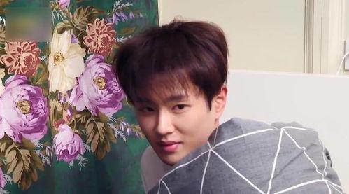 娱乐吃瓜君范丞丞,娱乐吃瓜界的“瓜王”传奇  第1张